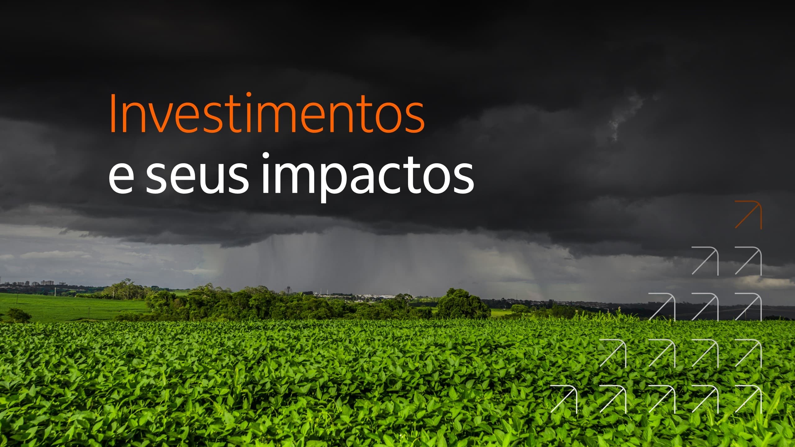 Logo da newsletter Investimentos e seus impactos