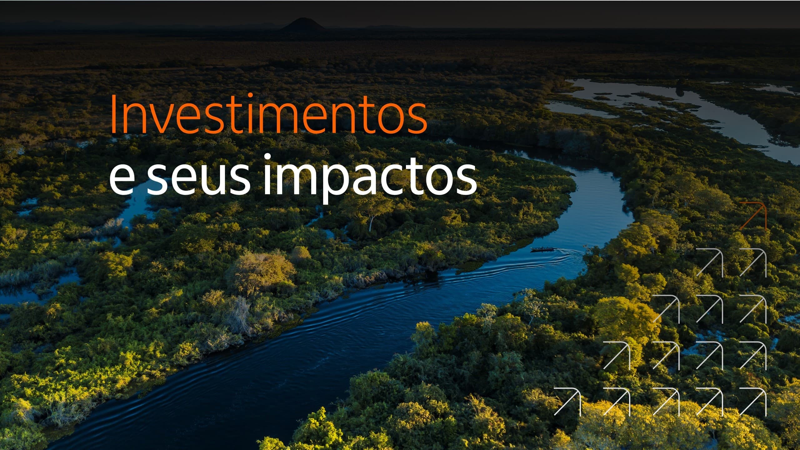 Logo da newsletter Investimentos e seus impactos sobre imagem aérea de rio cercado por vegetação